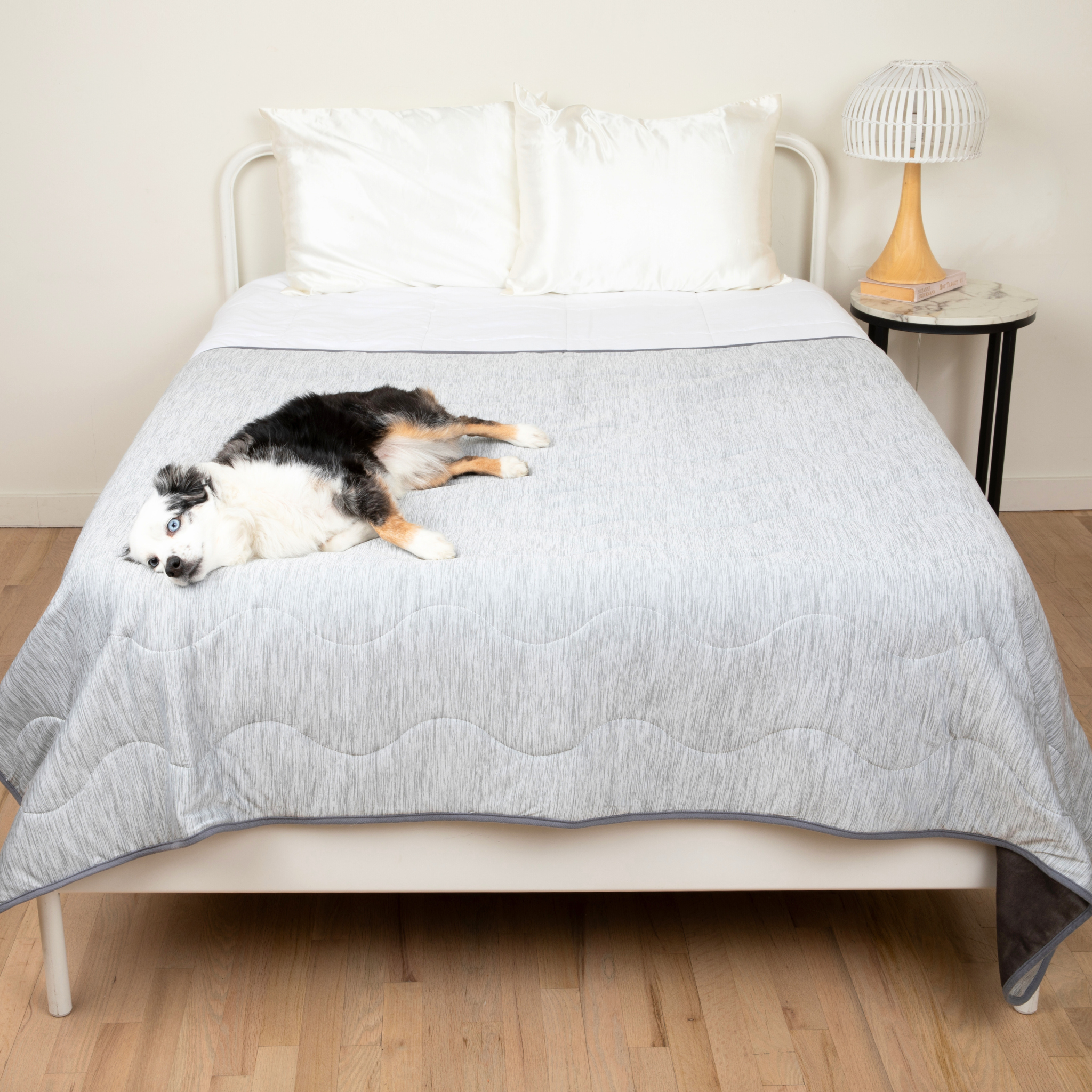 Dog lying on a bed with a gray comforter in a bedroom setting
