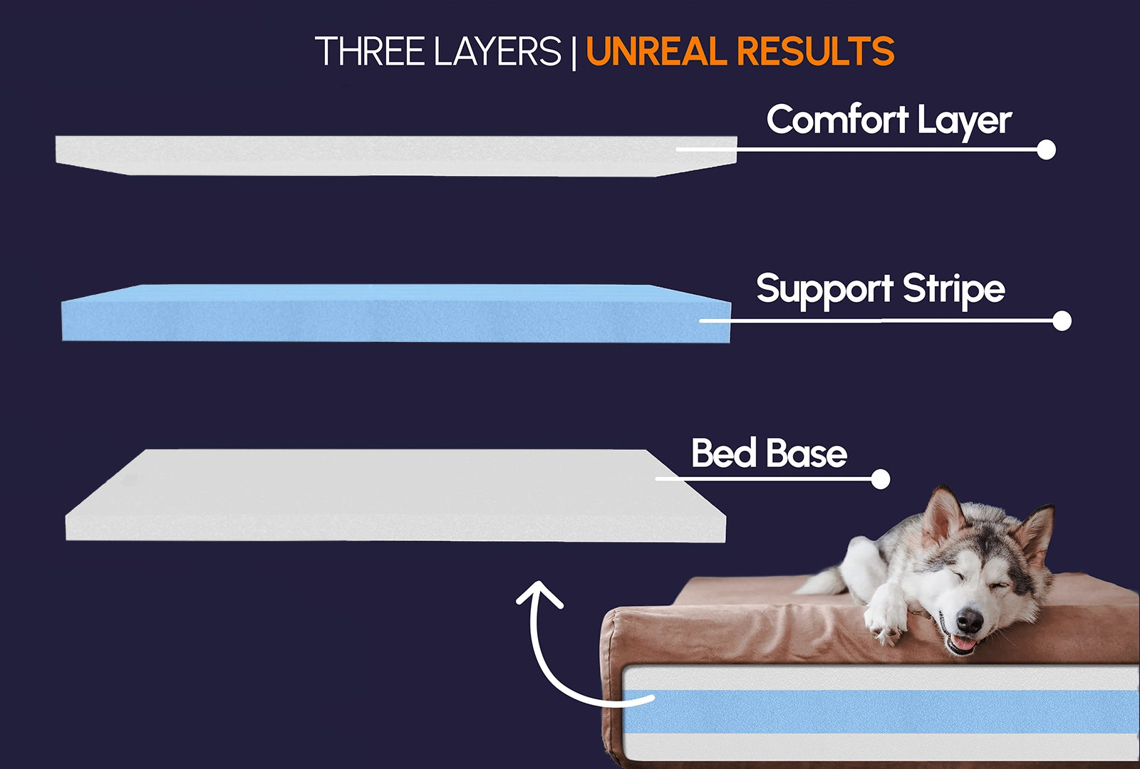 7" Orthopedic Dog Sofa Bed | Big Barker