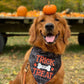 Halloween Dog Bandana - Trick for Treat