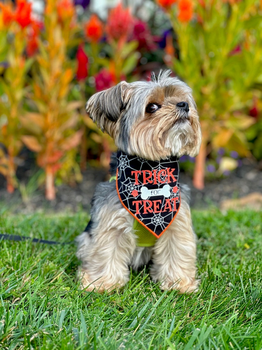 Halloween Dog Bandana - Trick for Treat