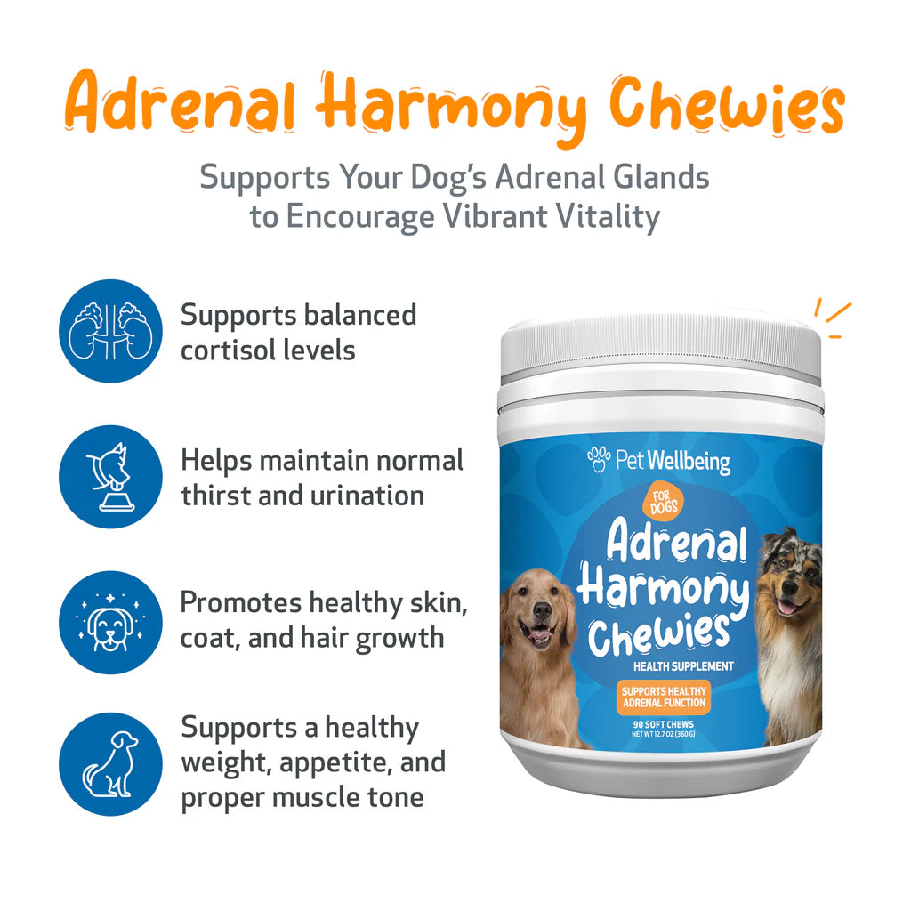Adrenal Harmony Chewies | Pet Wellbeing