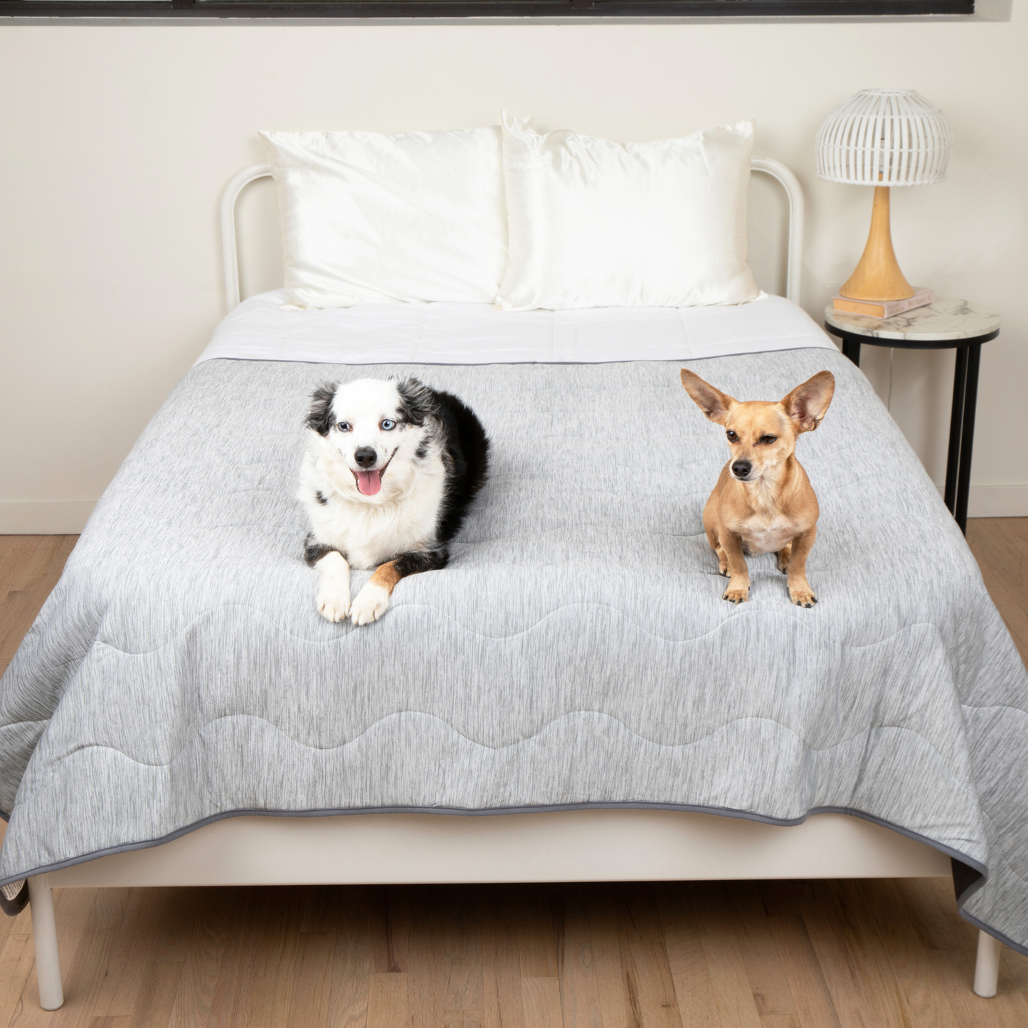 Two dogs on a gray quilt on a bed in a bedroom setting.