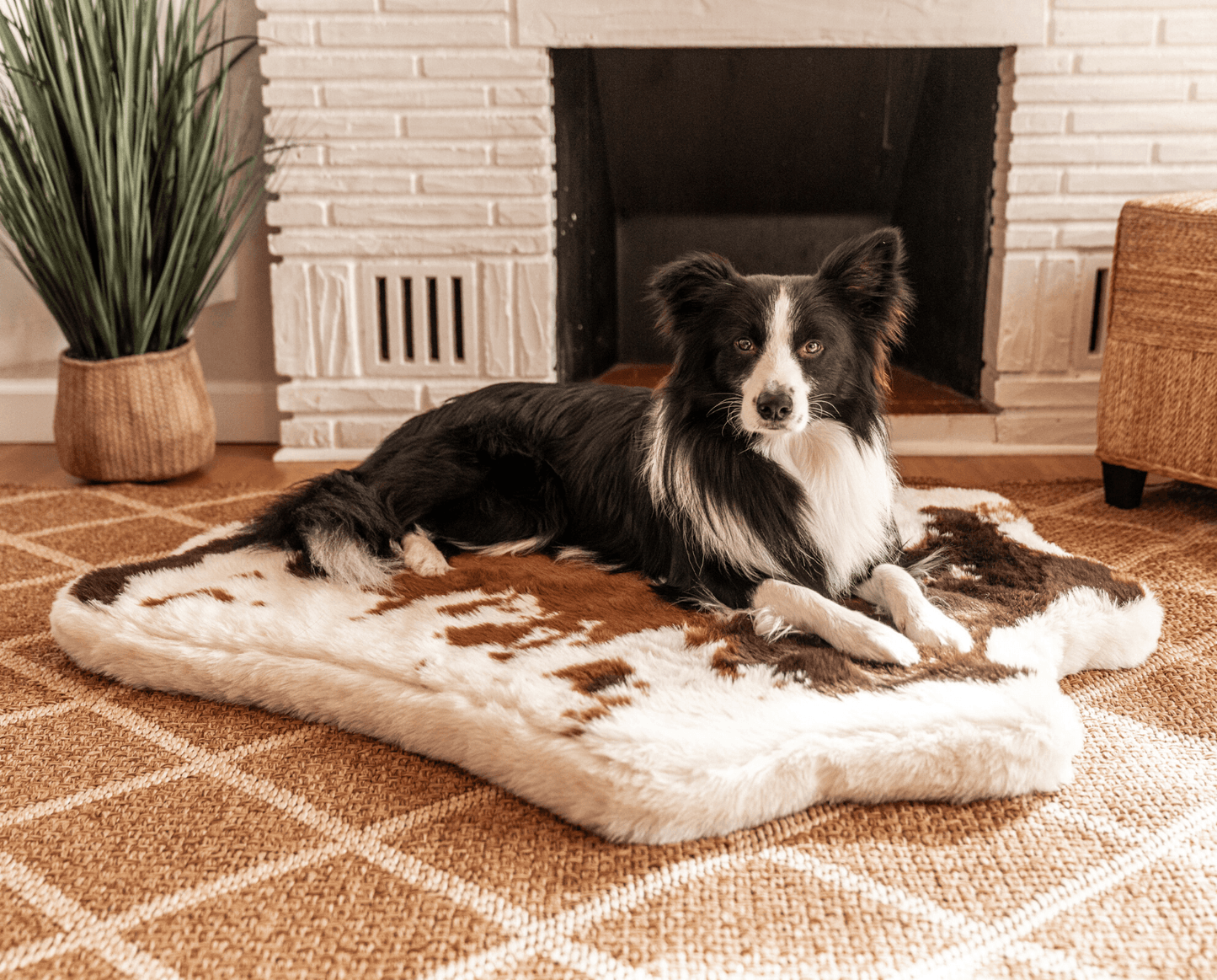 Dog lying on a cowhide rug in a cozy living room with a fireplace.