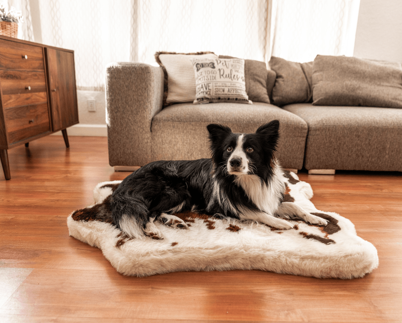 Dog lying on a fluffy pet bed in a living room.