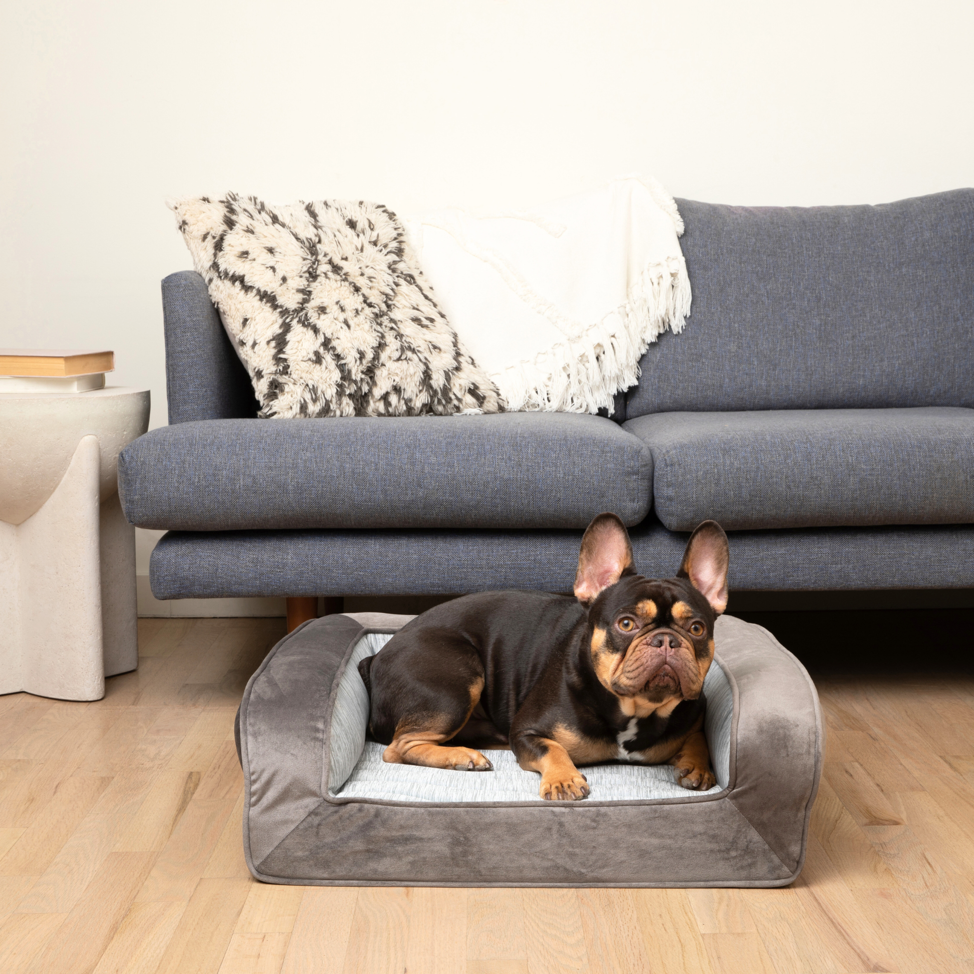 Dog lying on a gray pet bed in a living room with a gray sofa and wooden floor.