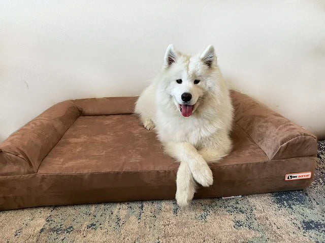 7" Orthopedic Dog Sofa Bed | Big Barker