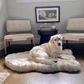 Dog lying on a fluffy white rug in a room with chairs and a small table.