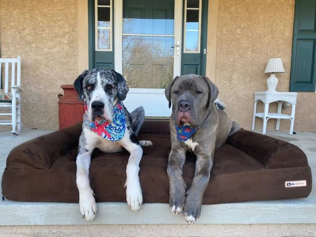 7" Orthopedic Dog Sofa Bed | Big Barker