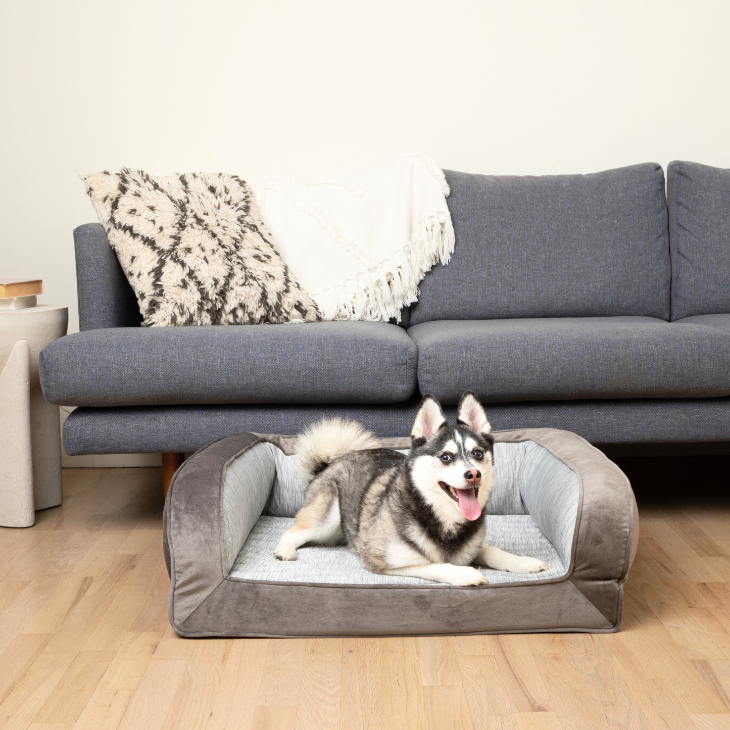 Dog lying on a gray pet bed in a living room with a couch and pillows.