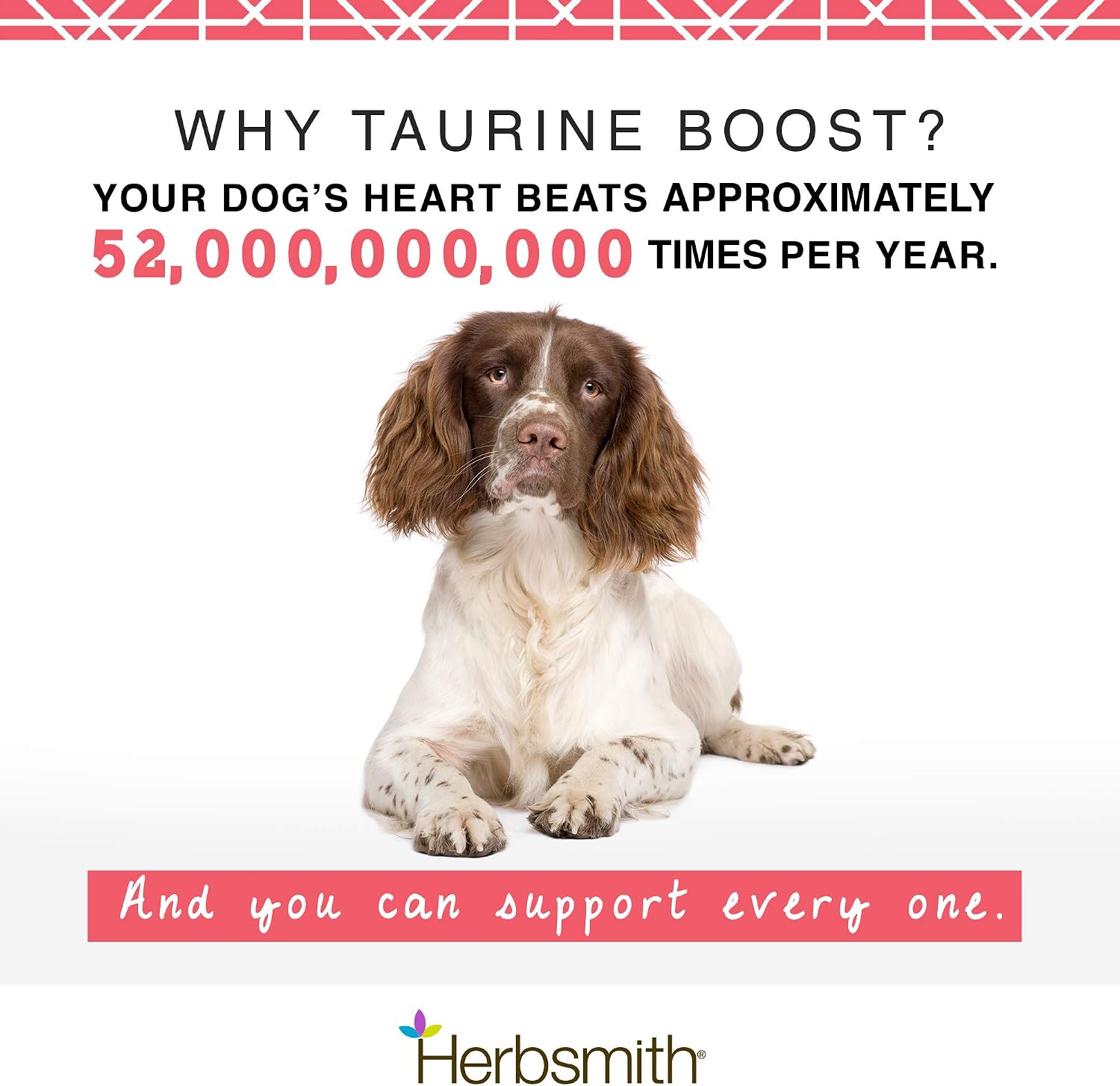 Cardiac Support Supplement for Dogs | Herbsmith Taurine Boost™