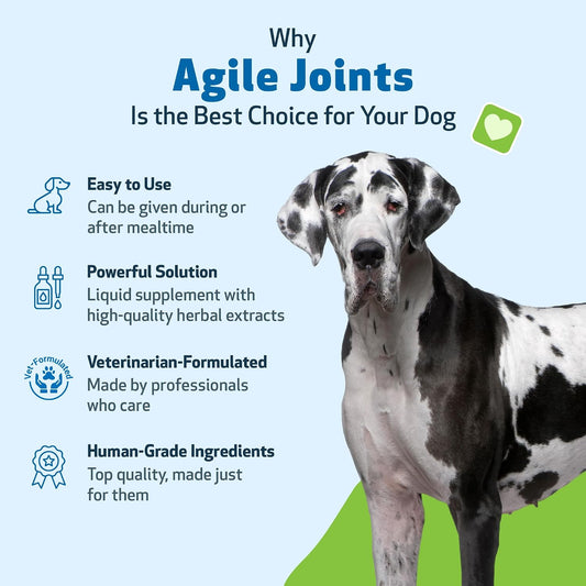 Dog with text about Agile Joints supplement on a blue and green background