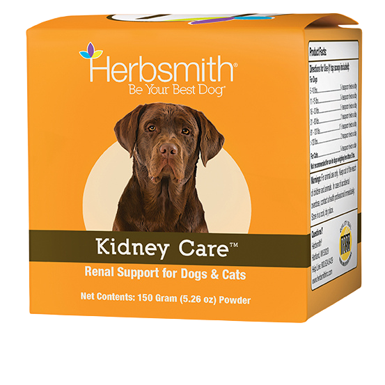 Kidney Care Renal Support for Dogs | Herbsmith