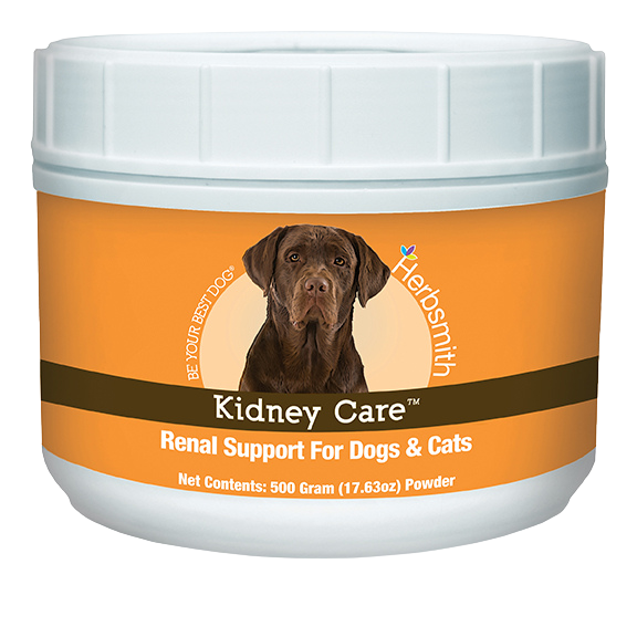 Kidney Care Renal Support for Dogs | Herbsmith