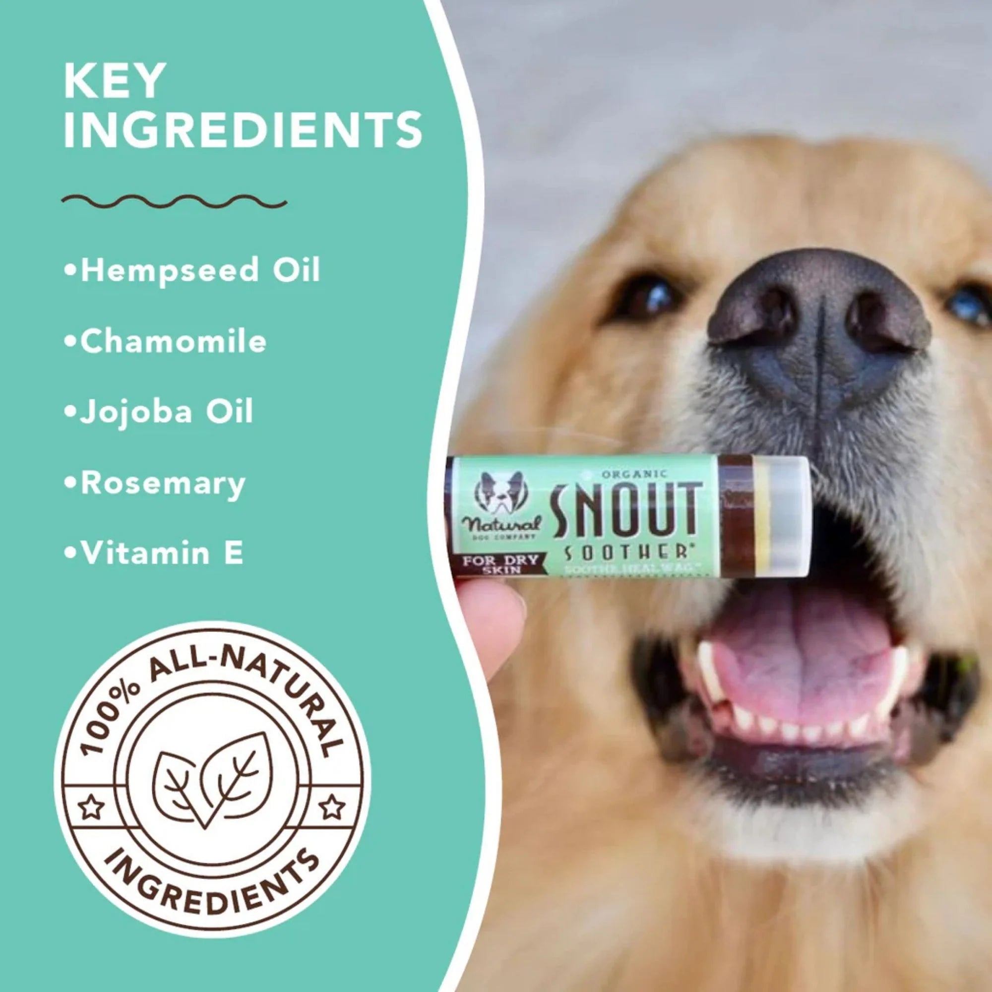 Nose Balm Stick for Dogs | Natural Dog Company