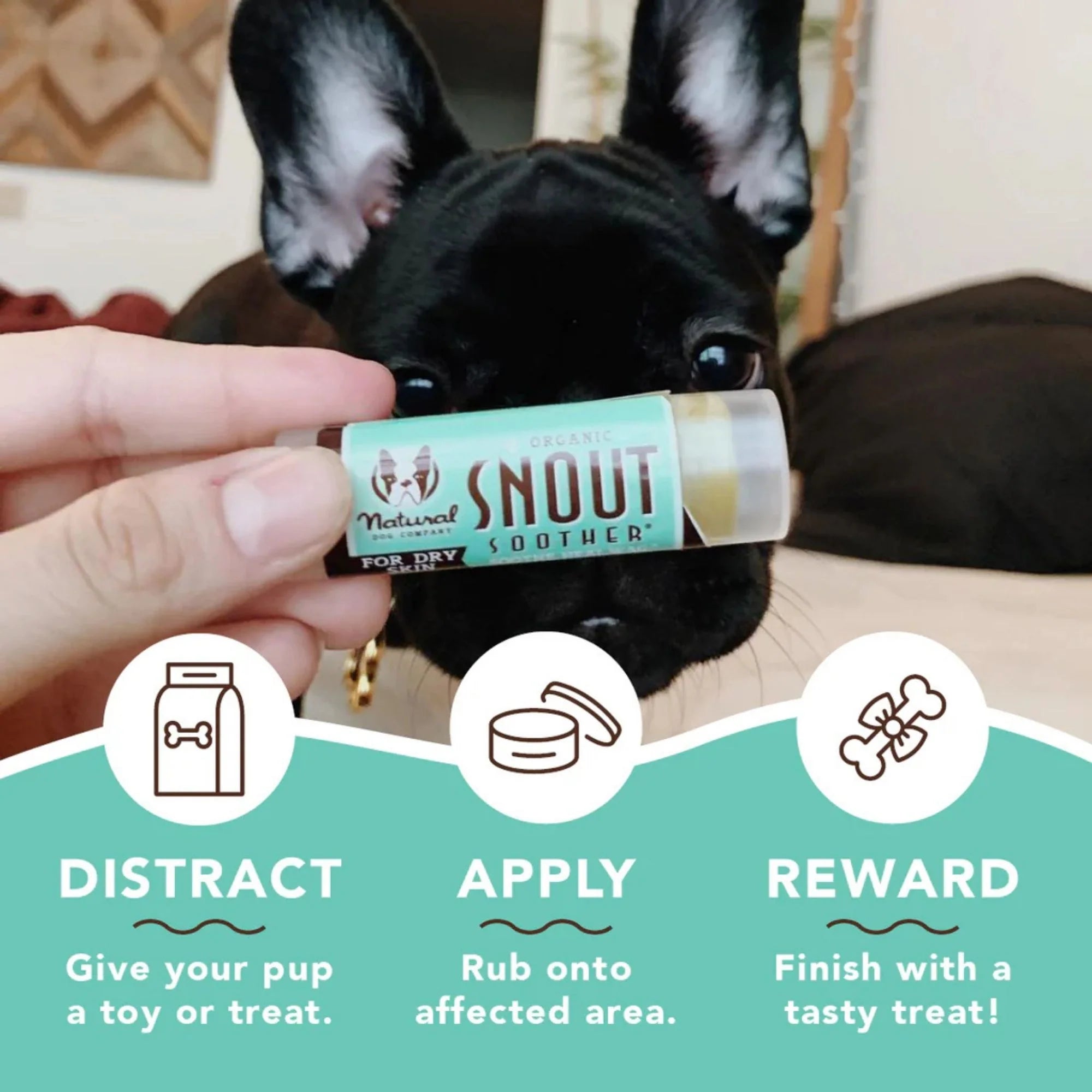 Nose Balm Stick for Dogs | Natural Dog Company