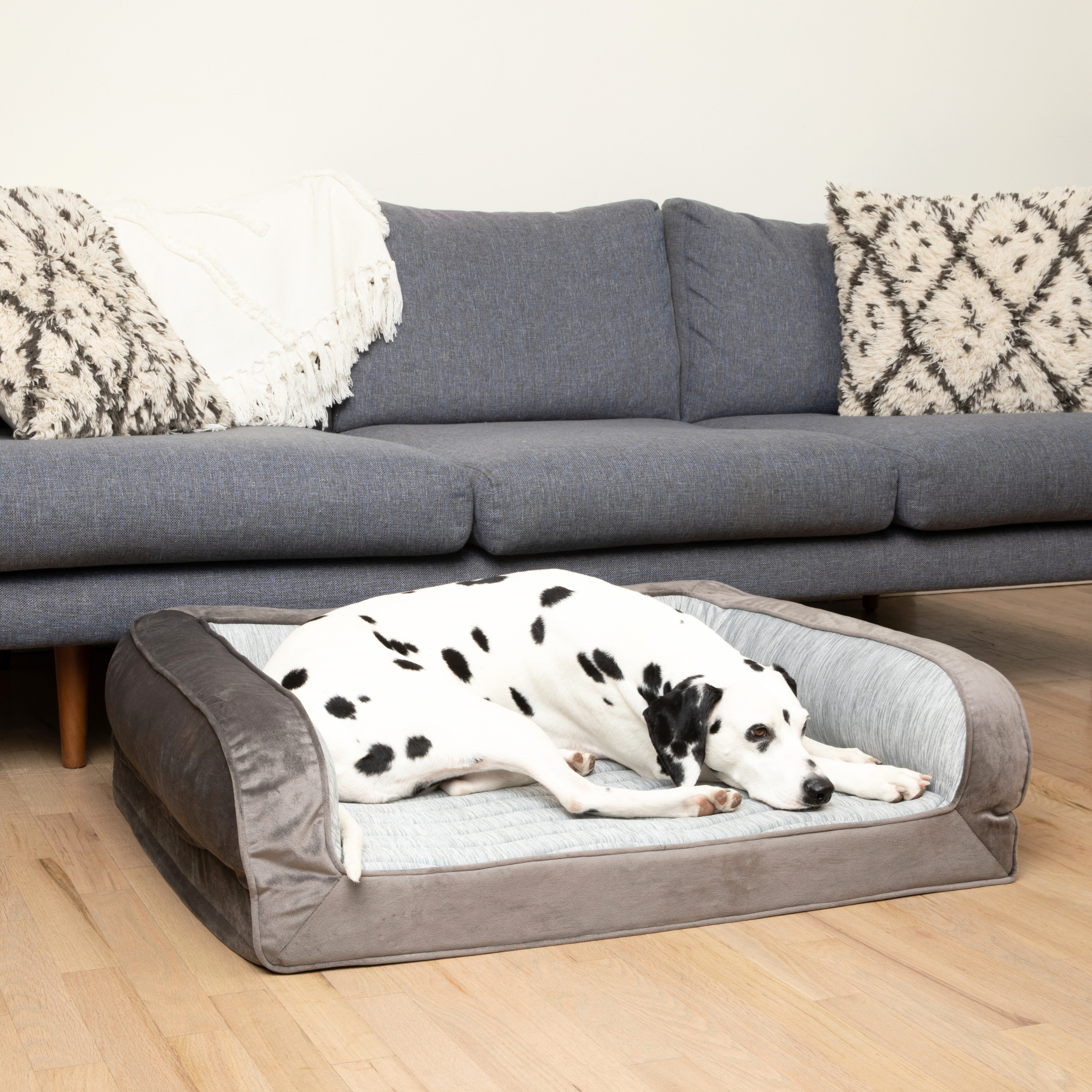 Dog lying on a gray pet bed in front of a gray sofa with patterned cushions.