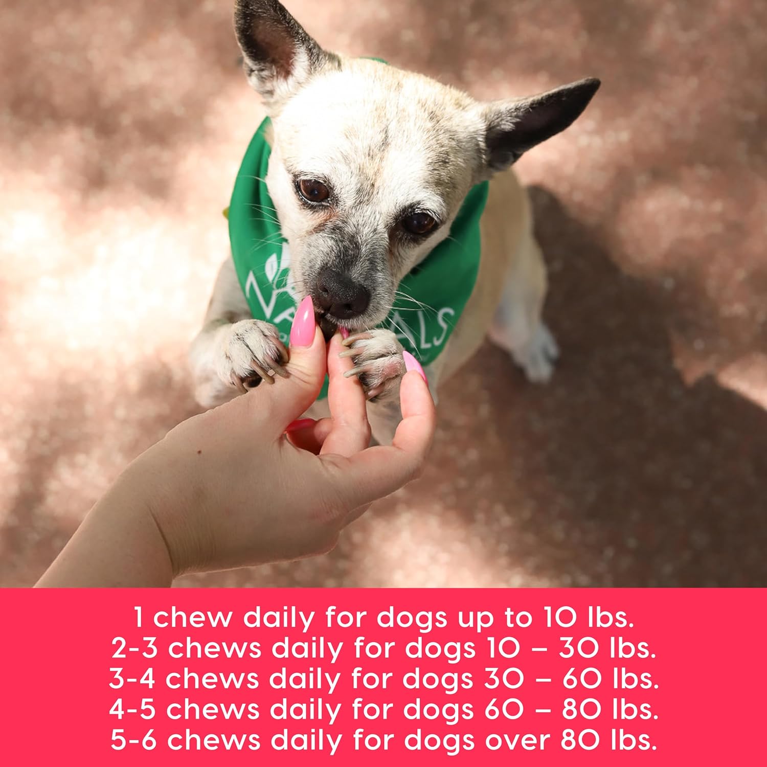 Heart Supplement for Dogs | Ark Naturals Gray Muzzle