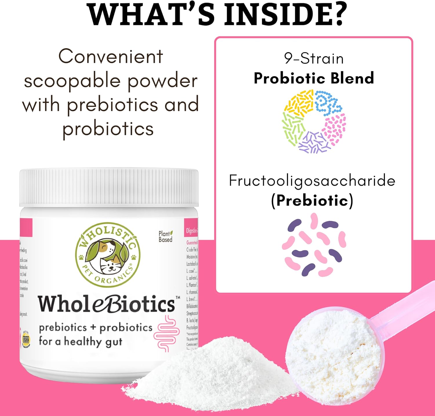 A promotional product graphic for WholeBiotics prebiotics and probiotics powder. A white jar labeled WholeBiotics is shown on a bright pink background, with a scoop of white powder and a pile of powder in front.