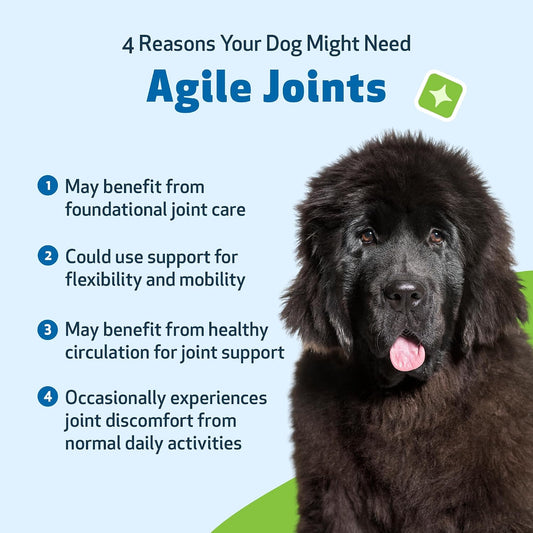 Dog with text explaining reasons for needing Agile Joints on a blue background