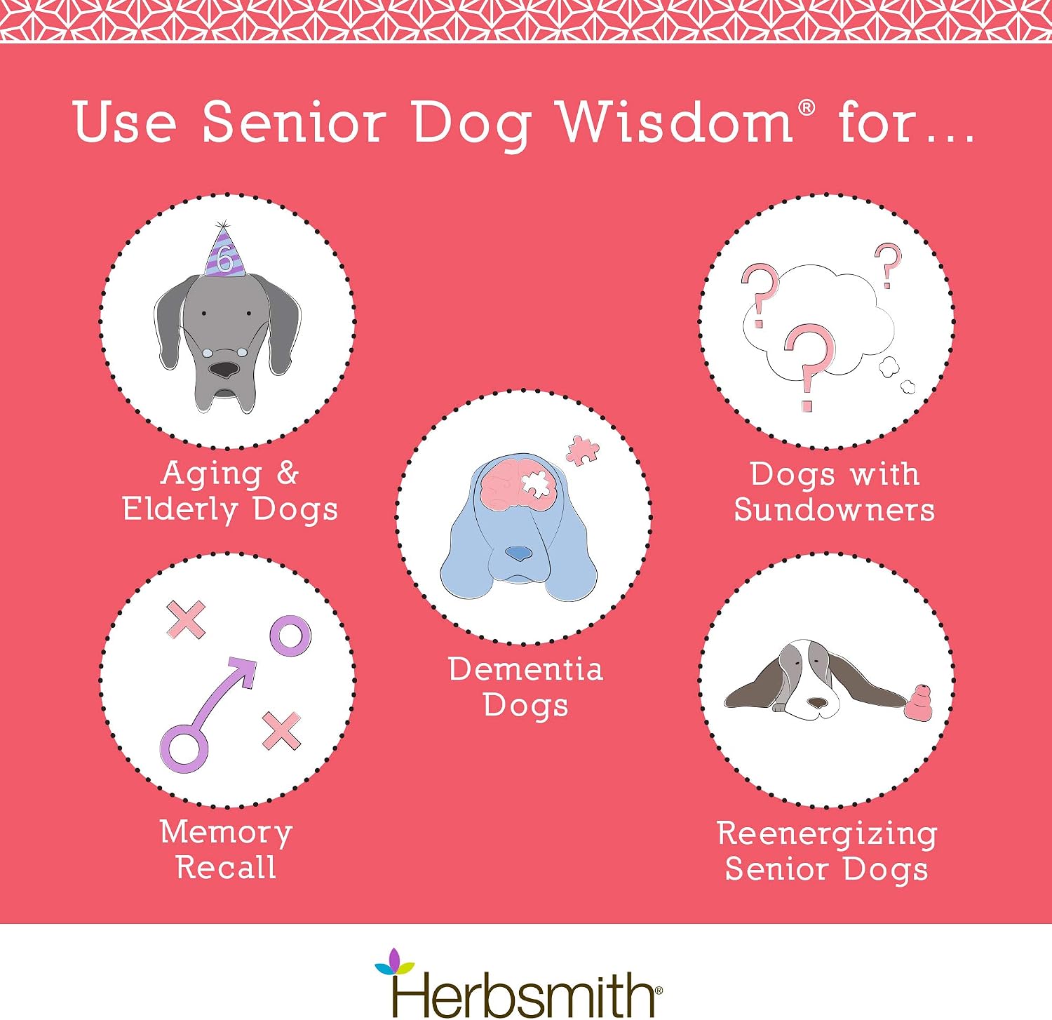 Promotional graphic for 'Senior Dog Wisdom' by Herbsmith with icons and text on a pink background.