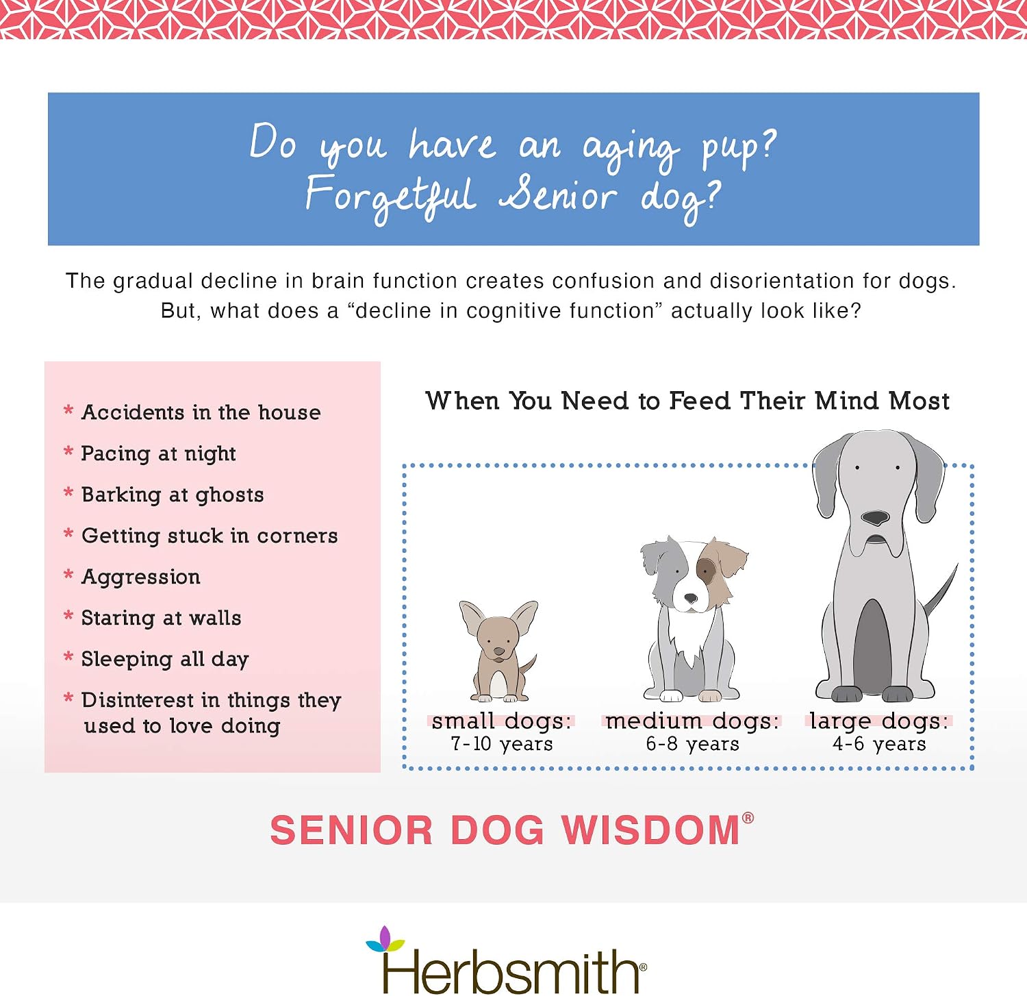 An informational poster titled 'Do you have an aging pup? Forgetful Senior dog?' with text about cognitive decline in dogs, a pink list of senior dog behaviors, and cartoon illustrations of small, medium, and large dogs under the heading 'When You Need to Feed Their Mind Most.' The brand name 'Herbsmith' appears at the bottom.