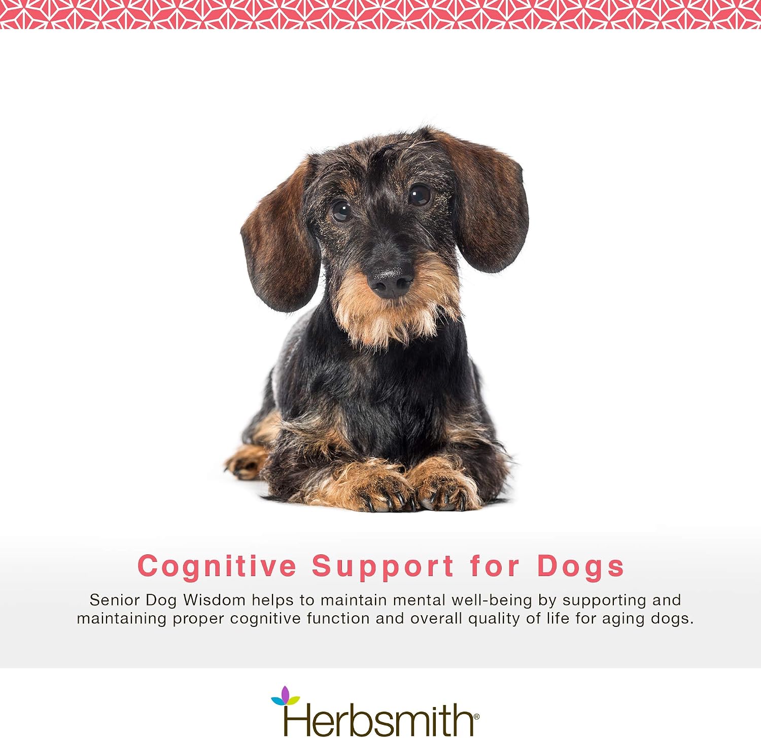 A dachshund dog sits centered on a white background with text below reading 'Cognitive Support for Dogs' and a Herbsmith logo at the bottom.