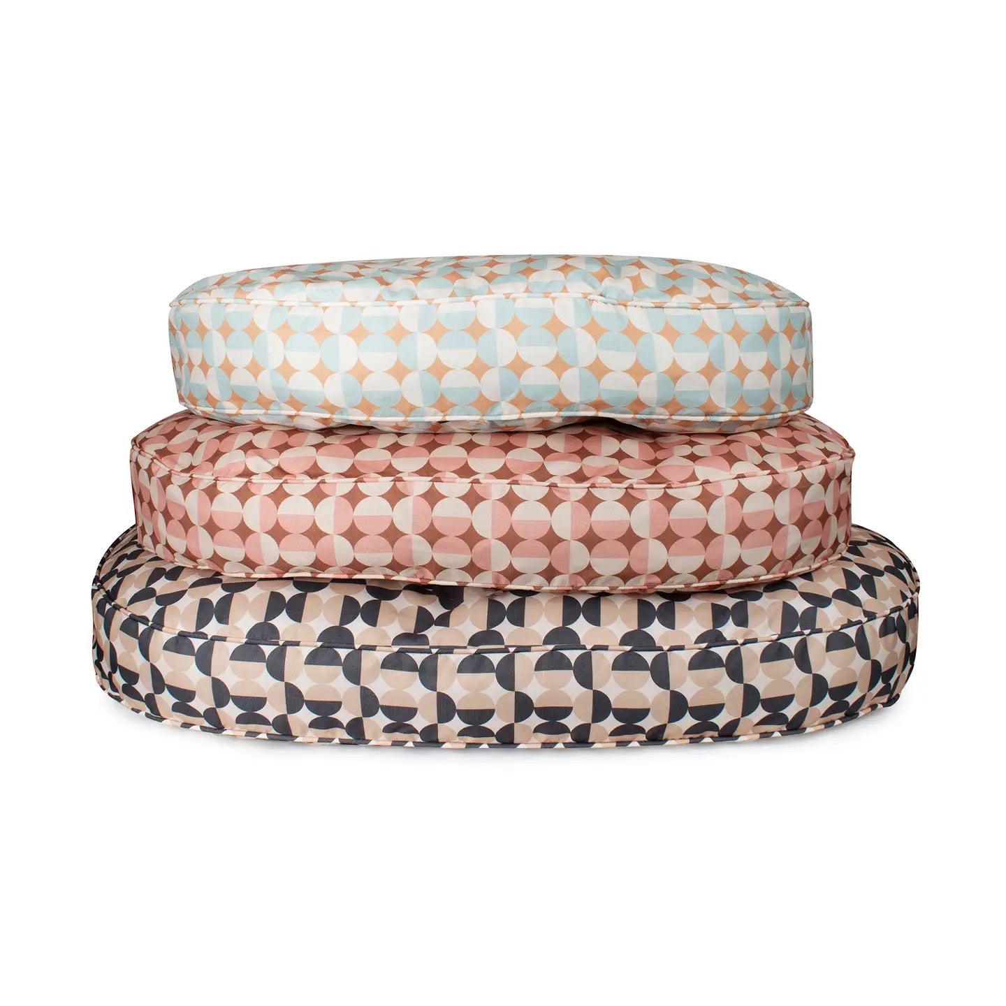 Corgi dog wearing a halo for blind dogs