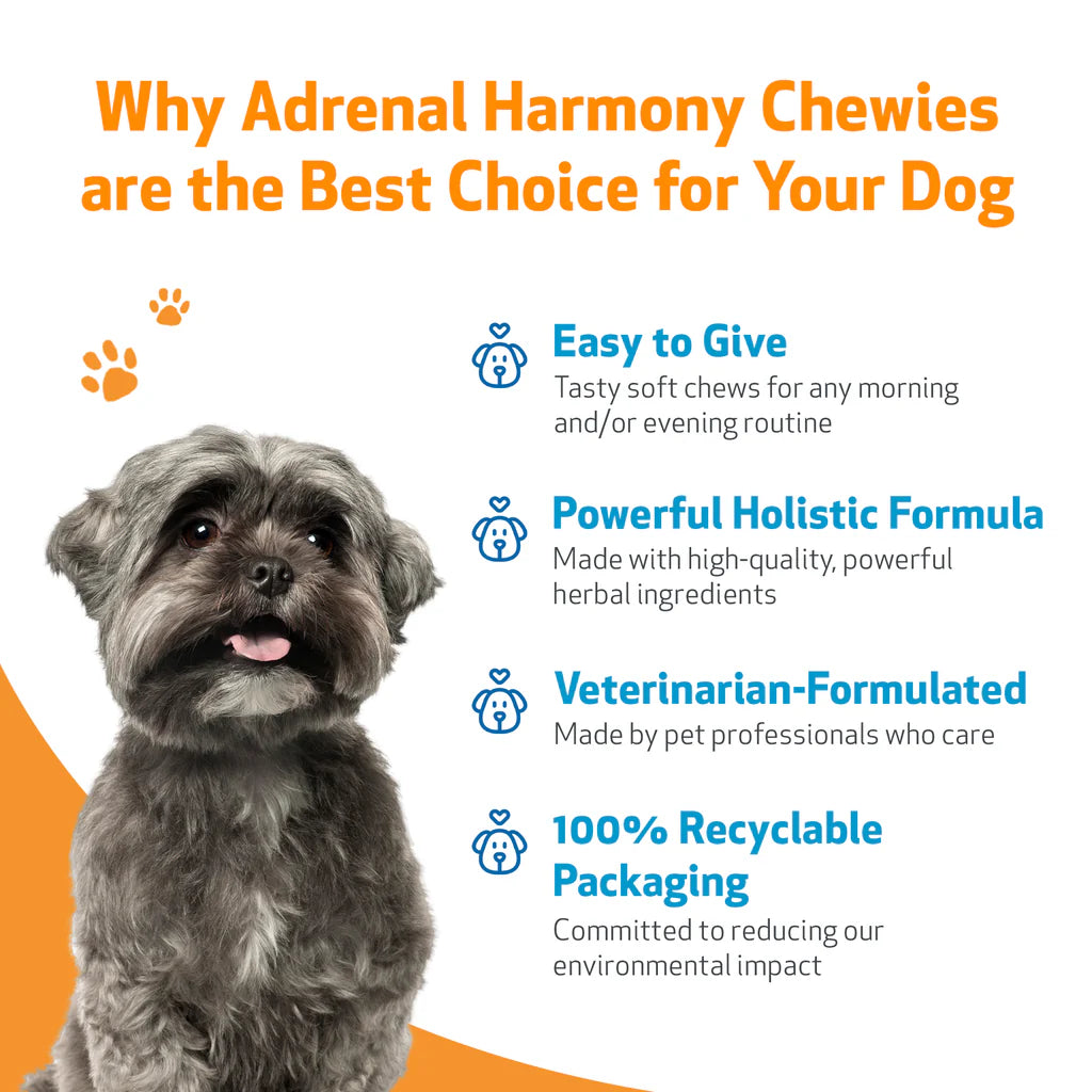 Adrenal Harmony Chewies | Pet Wellbeing