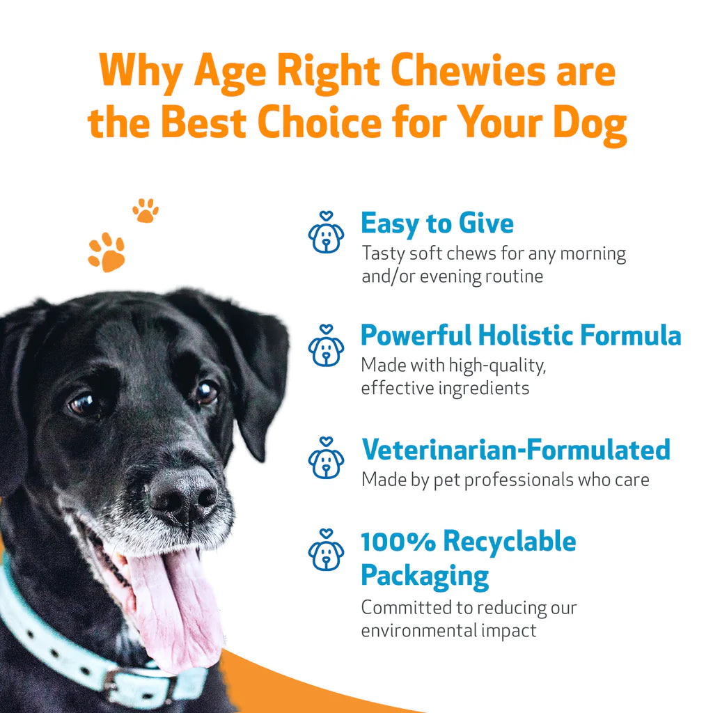 Daily supplement for Senior Dogs | Age Right Chewies Pet Wellbeing