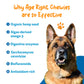 Daily supplement for Senior Dogs | Age Right Chewies Pet Wellbeing