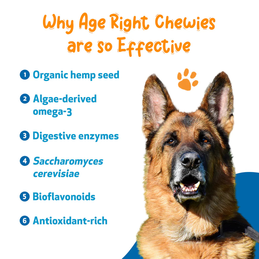 Daily supplement for Senior Dogs | Age Right Chewies Pet Wellbeing