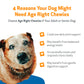Daily supplement for Senior Dogs | Age Right Chewies Pet Wellbeing