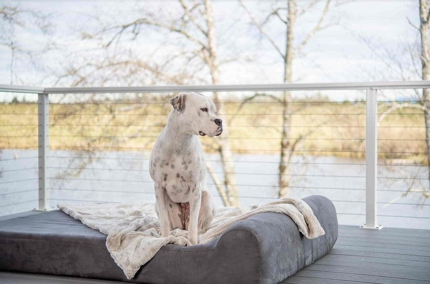 Big Barker 7" Orthopedic Foam Dog Bed for Large Dogs