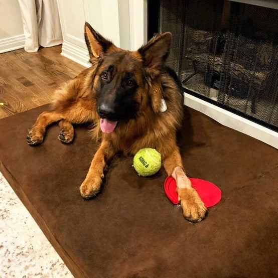 Big Barker 7" Orthopedic Foam Dog Bed for Large Dogs