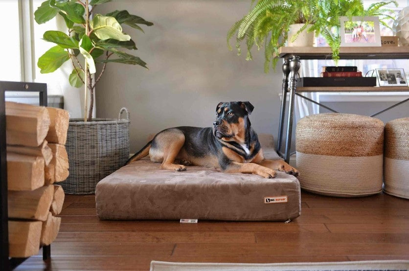 Big Barker 7" Orthopedic Foam Dog Bed for Large Dogs