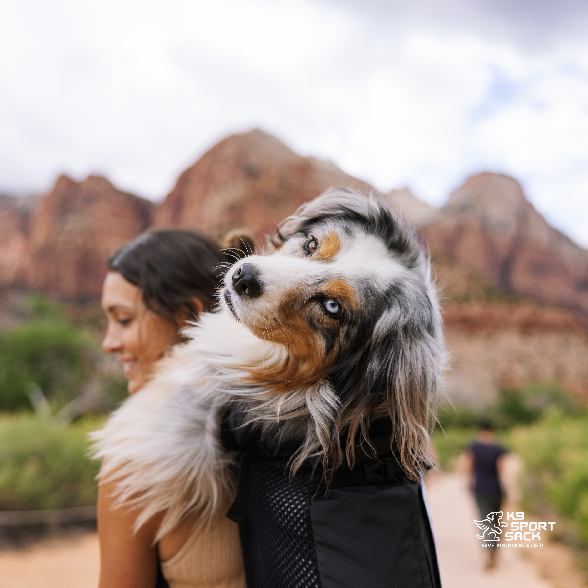 Advanced Dog Carrier Backpack for dogs up to 50 lbs | Knavigate