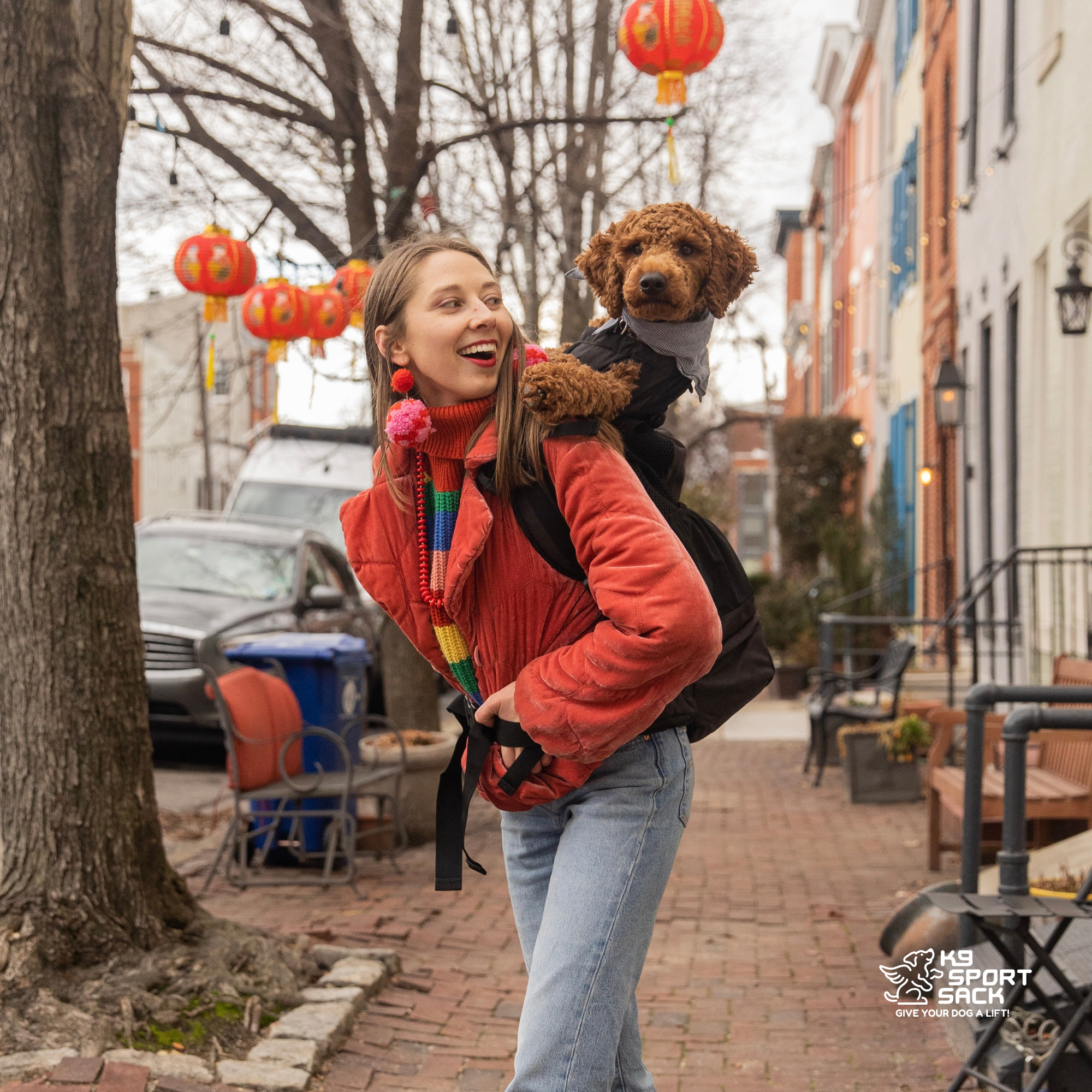 Advanced Dog Carrier Backpack for dogs up to 50 lbs | Knavigate