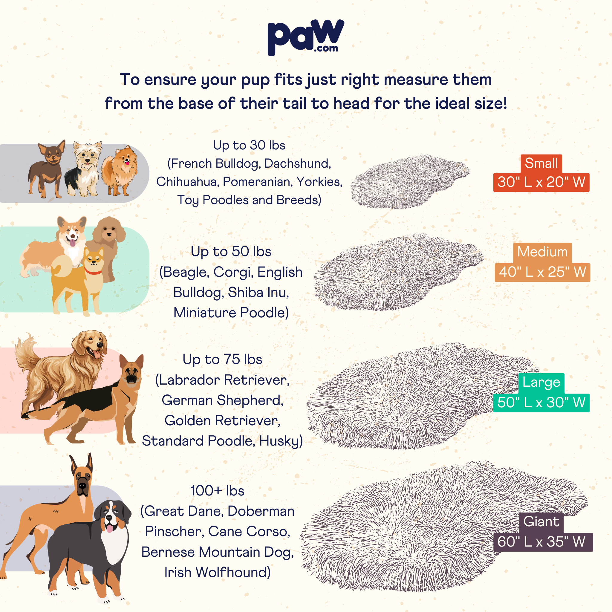 Dog bed size chart from paw.com with dog breeds and bed dimensions.
