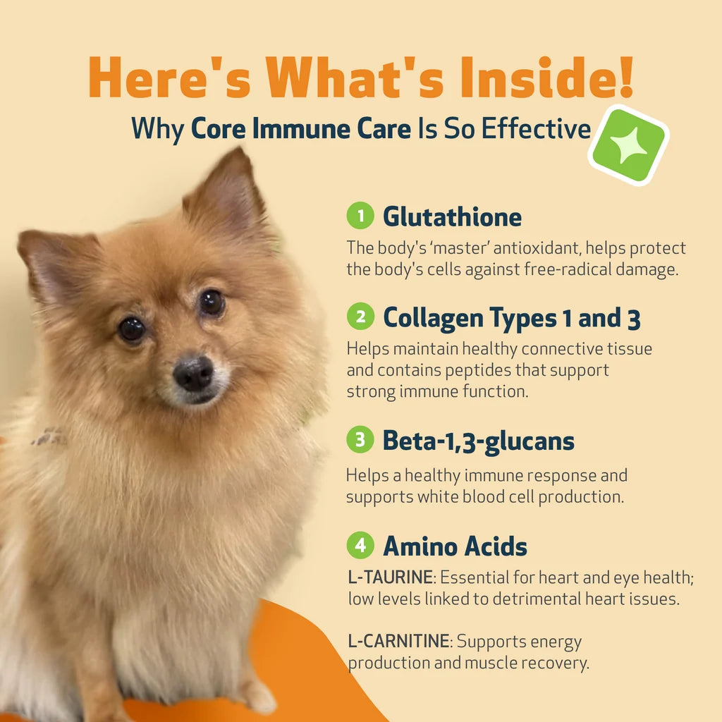 Immune Support for Dogs