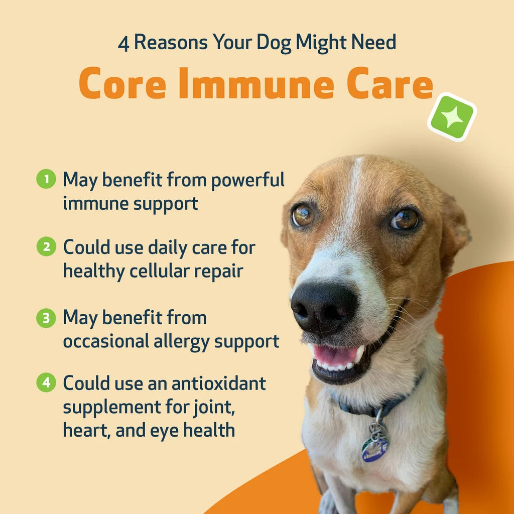 Immune Support for Dogs