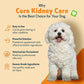 Core Kidney Care - Phosphate Binder for Dogs | PetWellbeing