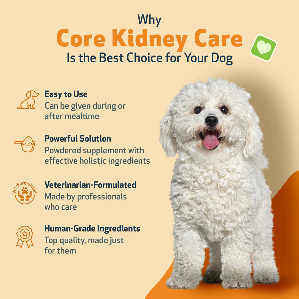 Core Kidney Care - Phosphate Binder for Dogs | PetWellbeing