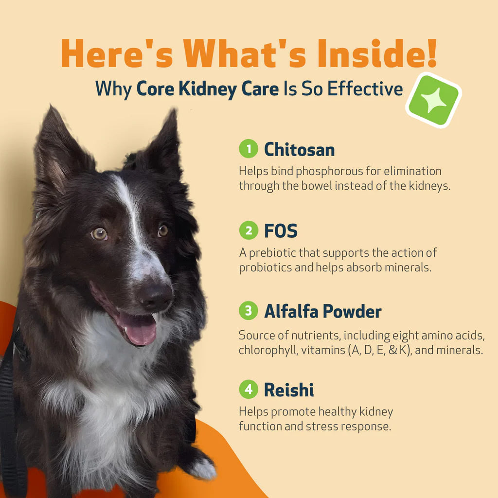 Core Kidney Care - Phosphate Binder for Dogs | PetWellbeing
