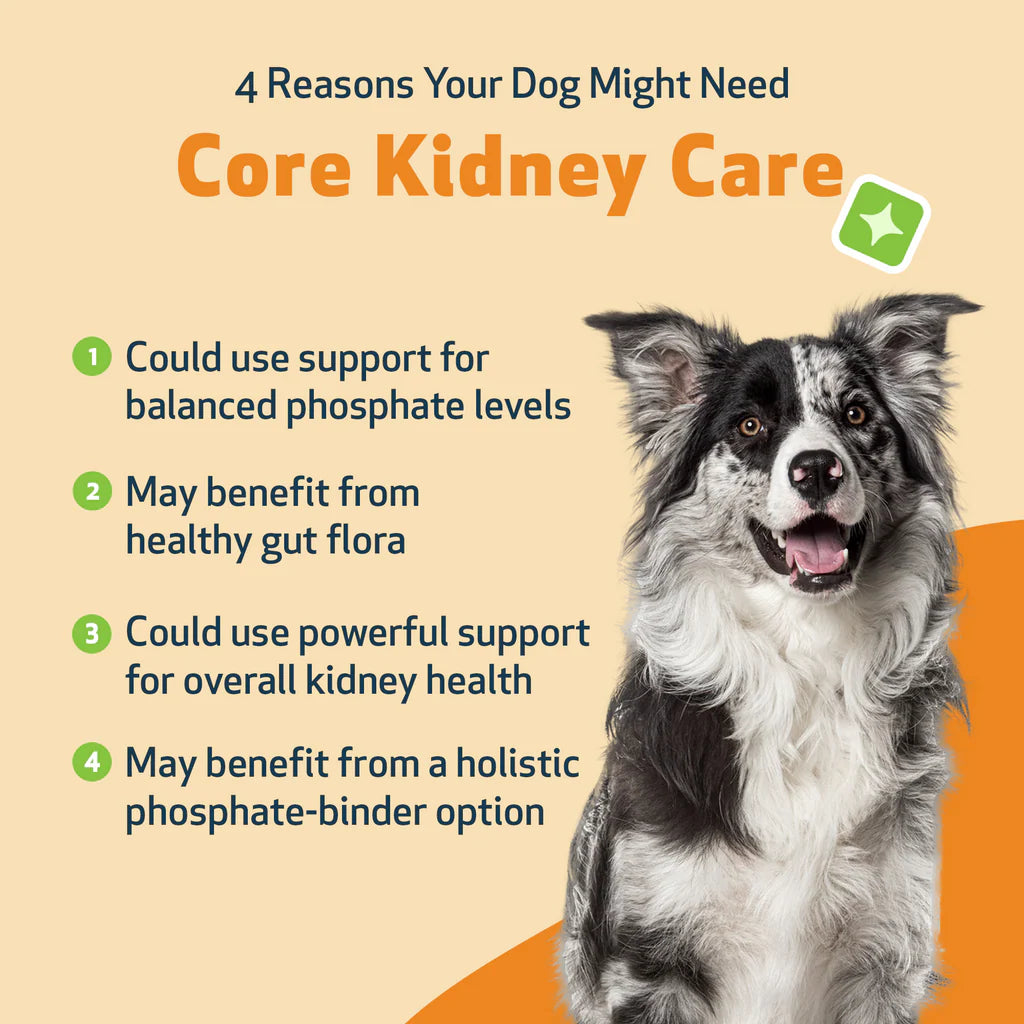 Core Kidney Care - Phosphate Binder for Dogs | PetWellbeing