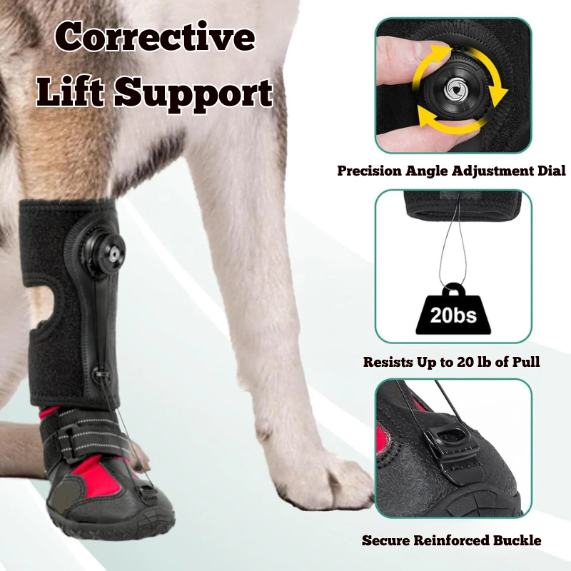 No-Knuckling Boot Brace for Dogs