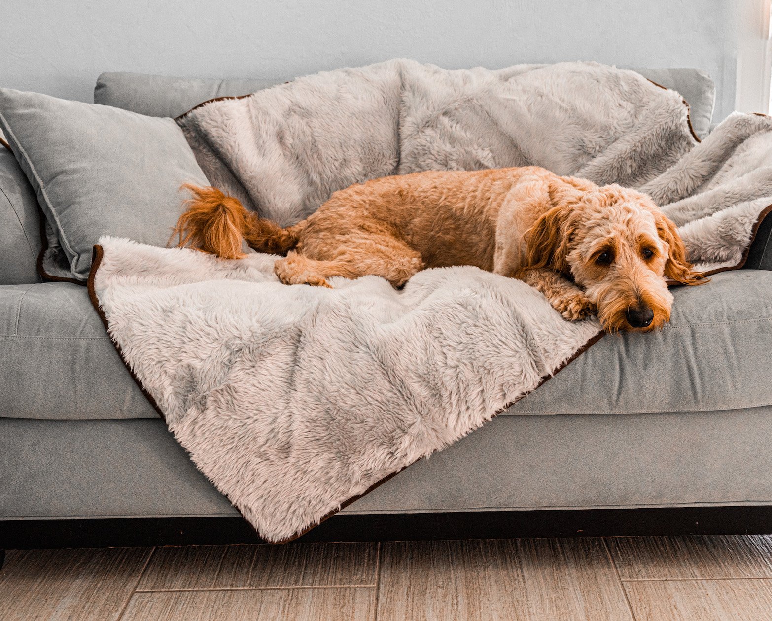 PupProtector™ Summer Short Fur Waterproof Throw Blanket - Grey