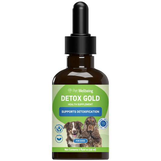 Detox for Dogs | Detox Gold Pet Wellbeing