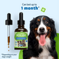 Detox for Dogs | Detox Gold Pet Wellbeing
