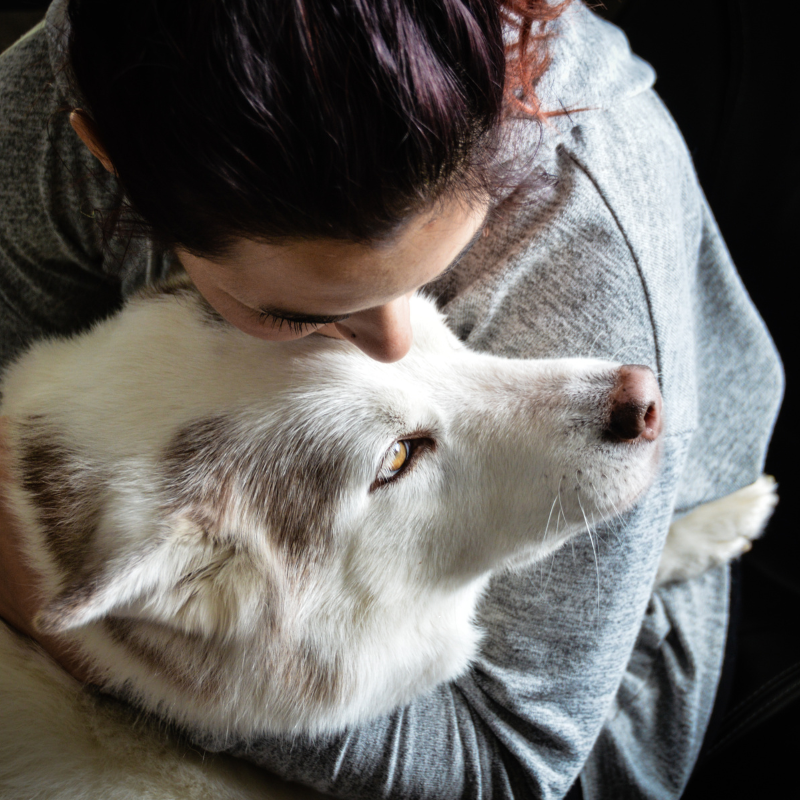 The emotional side of caring