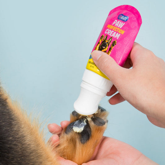 Person applying paw perfection cream to a dog's paw against a light blue background